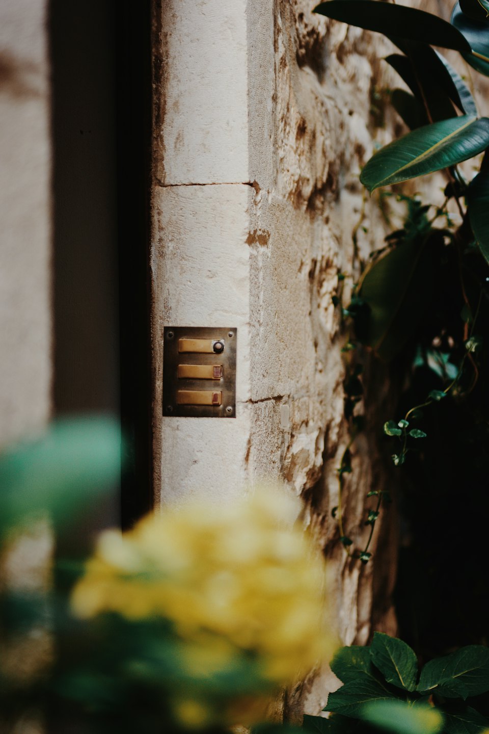 Weathered brass doorbell with three buttons on a stone wall.